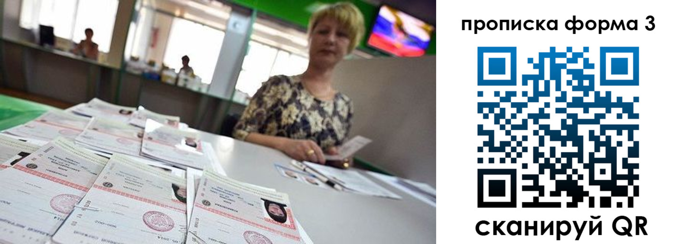 прописка 2025 в Мончегорске